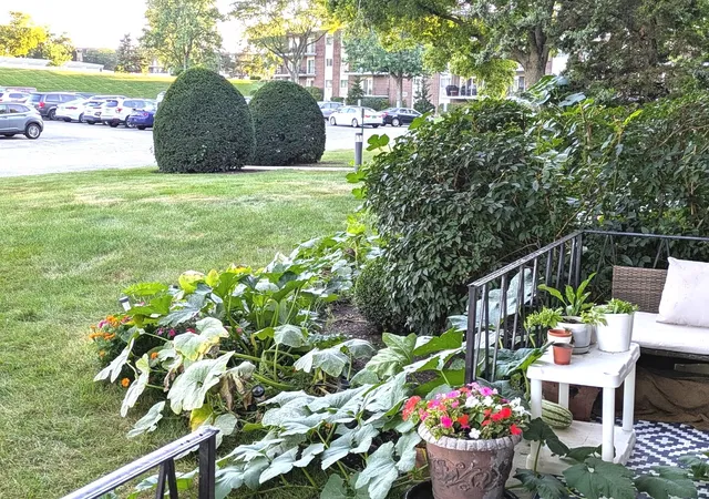 Photo 3 of Condo for sale at 5540 Walnut Ave #23AA, Downers Grove, IL 60515 | MLS# 12758143 | Listing updated on 2026-10-23