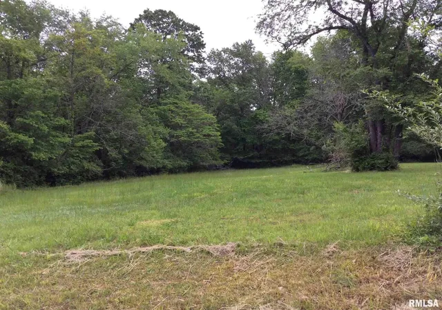 Photo 2 of Land for sale at 11530 N 28th Street, Mt Vernon, IL 62864 | MLS# 12758147 | Listing updated on 2026-10-02