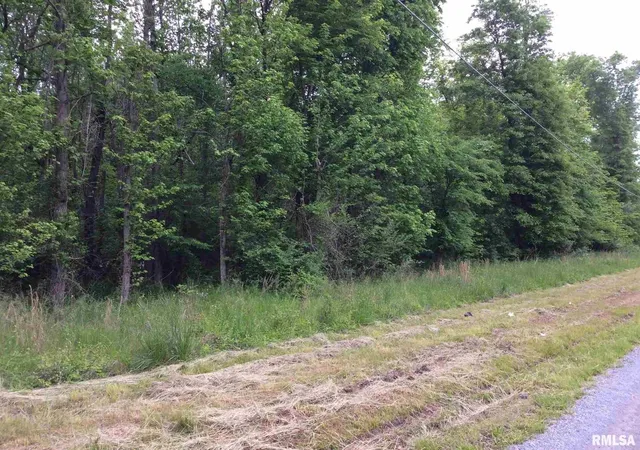 Photo 3 of Land for sale at 11530 N 28th Street, Mt Vernon, IL 62864 | MLS# 12758147 | Listing updated on 2026-10-02