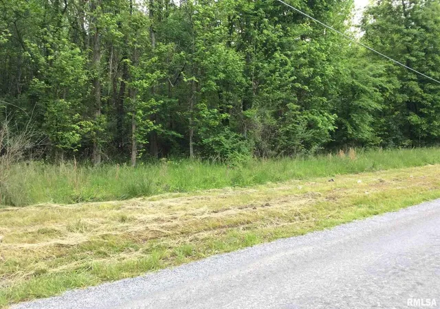 Photo 4 of Land for sale at 11530 N 28th Street, Mt Vernon, IL 62864 | MLS# 12758147 | Listing updated on 2026-10-02