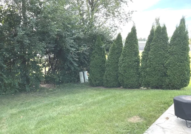 Photo 1 of Single family home for sale at 843 Winchester Green Dr, Wilmington, IL 60481 | MLS# 12758268 | Listing updated on 2026-09-23