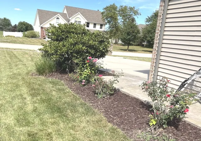 Photo 2 of Single family home for sale at 843 Winchester Green Dr, Wilmington, IL 60481 | MLS# 12758268 | Listing updated on 2026-09-23