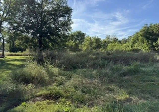 Photo 2 of Land for sale at 103 Davis St, Carterville, IL 62918 | MLS# 12759339 | Listing updated on 2026-09-28