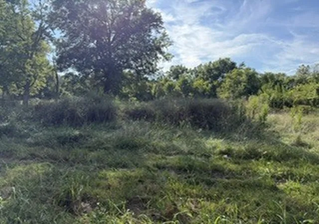 Photo 3 of Land for sale at 103 Davis St, Carterville, IL 62918 | MLS# 12759339 | Listing updated on 2026-09-28