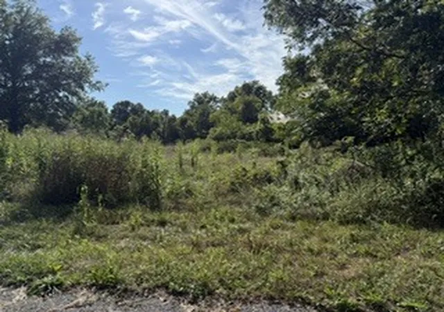 Photo 4 of Land for sale at 103 Davis St, Carterville, IL 62918 | MLS# 12759339 | Listing updated on 2026-09-28