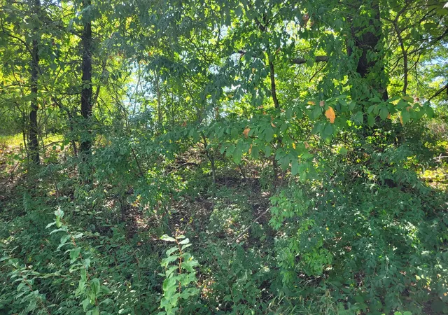 Photo 3 of Land for sale at 000 E Bunny Farm Rd, Mt Vernon, IL 62864 | MLS# 12759914 | Listing updated on 2026-09-21