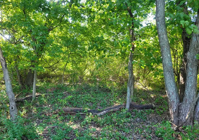 Photo 3 of Land for sale at 000 E Bunny Farm Rd, Mt Vernon, IL 62864 | MLS# 12759914 | Listing updated on 2026-09-21