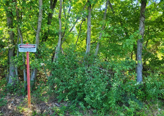 Photo 4 of Land for sale at 000 E Bunny Farm Rd, Mt Vernon, IL 62864 | MLS# 12759914 | Listing updated on 2026-09-21