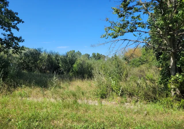 Photo 3 of Land for sale at 0000 E Bunny Farm Rd, Mt Vernon, IL 62864 | MLS# 12760144 | Listing updated on 2026-09-21