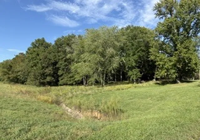 Photo 1 of Land for sale at 400 S Mayor Caliper Dr, Carterville, IL 62918 | MLS# 12760180 | Listing updated on 2026-10-01