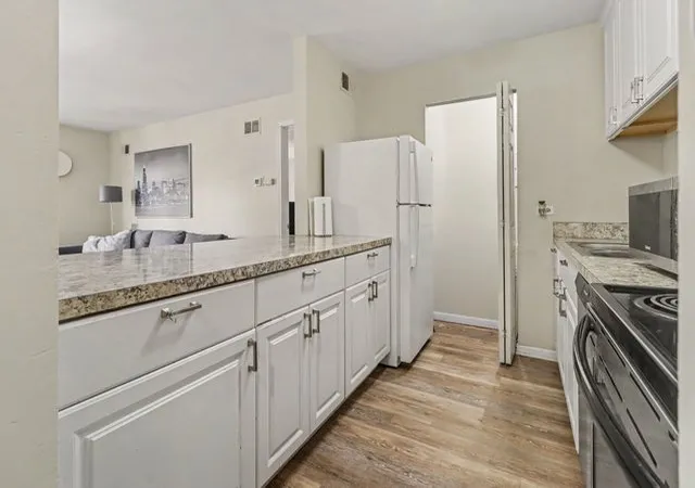 Photo 4 of Condo for sale at 3255 Kirchoff Rd #203, Rolling Meadows, IL 60008 | MLS# 12761328 | Listing updated on 2026-09-23