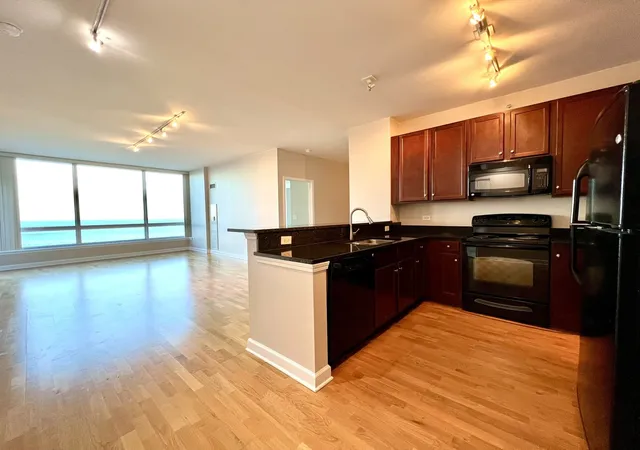 Listing Photo 5 - Condo for sale in building located at 1901 S Calumet Ave, Chicago, IL 60616 - Unit #2602