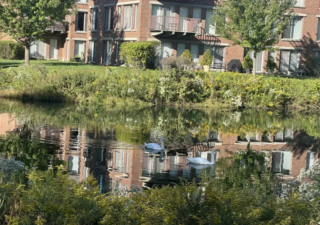 Photo 3 of Condo for sale at 401 Kelburn Rd #114, Deerfield, IL 60015 | MLS# 12762783 | Listing updated on 2026-10-06