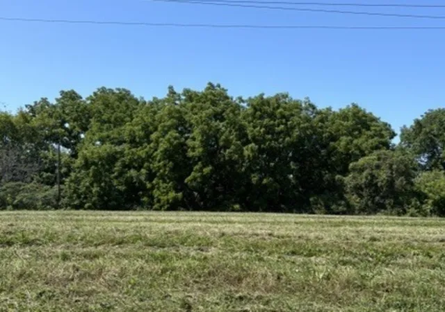 Photo 2 of Land for sale at 207 Pigeon Ave, Waukegan, IL 60085 | MLS# 12762974 | Listing updated on 2026-09-23