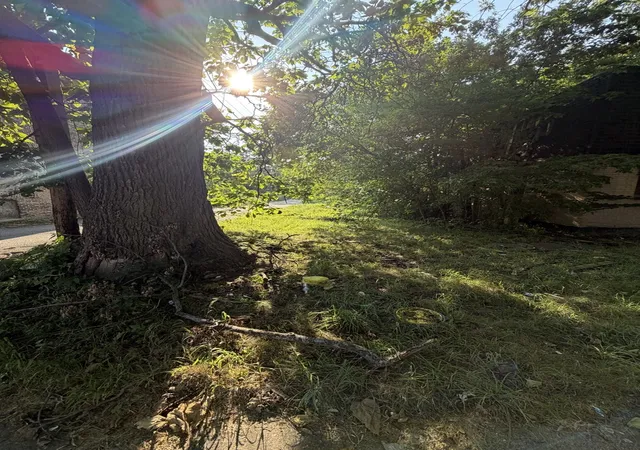 Photo 1 of Land for sale at 6644 S May St, Chicago, IL 60621 | MLS# 12763170 | Listing updated on 2026-09-23