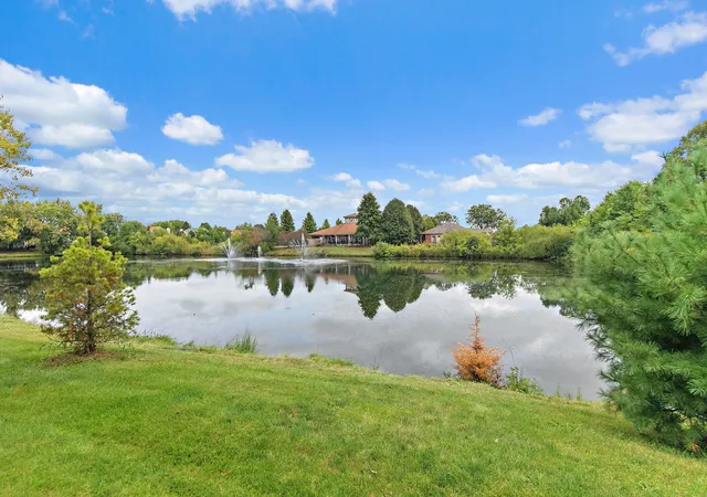 Photo 3 of Condo for sale at 393 Lowell Dr #393, South Elgin, IL 60177 | MLS# 12764368 | Listing updated on 2026-09-22