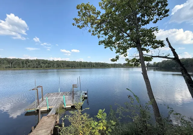Photo 3 of Single family home for sale at 4866 E Mitchell Lake Rd, Mulkeytown, IL 62865 | MLS# 12764600 | Listing updated on 2026-10-20