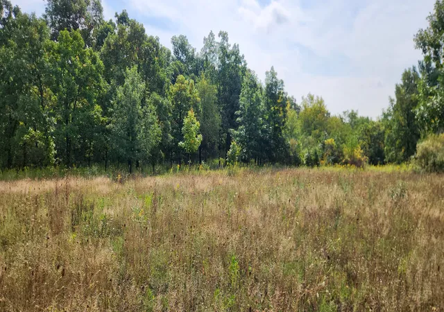 Photo 4 of Land for sale at 42751 N Sheridan Oaks Dr, Antioch, IL 60002 | MLS# 12765154 | Listing updated on 2026-09-30