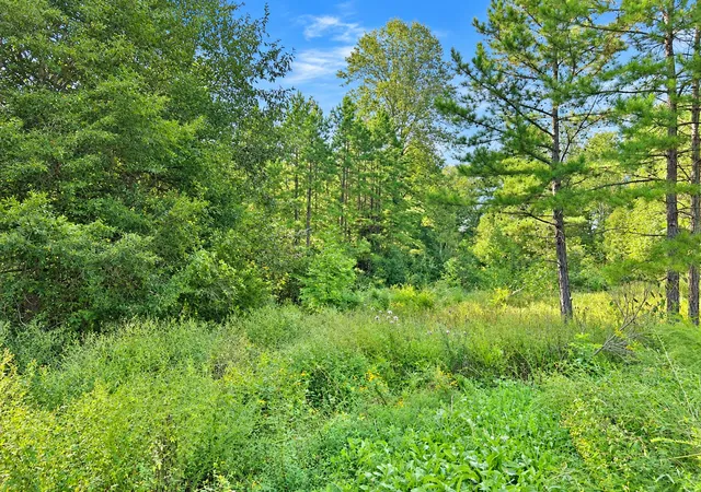 Photo 3 of Sale Pending at 33 Karbers Ridge Rd, Herod, IL 62947 | MLS# 12765186 | Listing updated on 2026-10-05