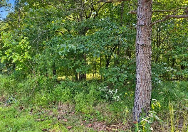 Photo 4 of Sale Pending at 33 Karbers Ridge Rd, Herod, IL 62947 | MLS# 12765186 | Listing updated on 2026-10-05