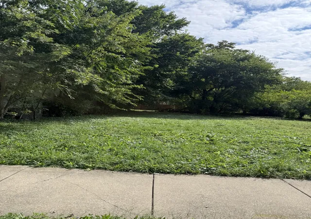 Land for sale at 317 W 108th Place, Chicago, IL 60628 | MLS# 12765964