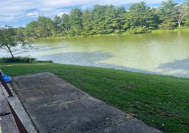 Photo 4 of Single family home for sale at 145 Country Clb Ln, Anna, IL 62906 | MLS# 12766010 | Listing updated on 2026-10-08