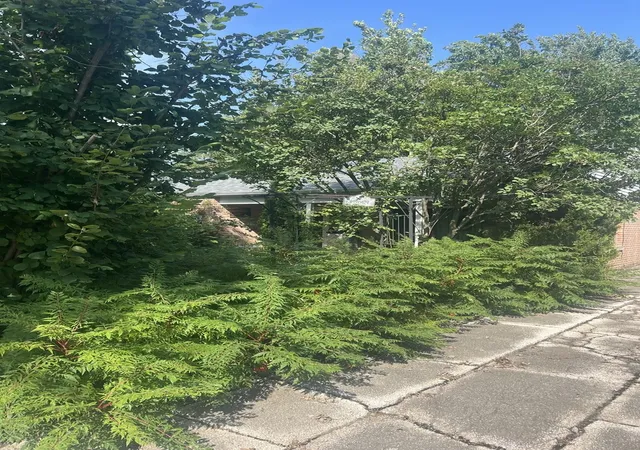 Photo 3 of Single family home for sale at 18621 Morris Ave, Homewood, IL 60430 | MLS# 12767155 | Listing updated on 2026-09-25