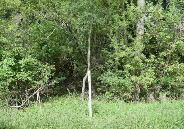 Photo 1 of Land for sale at Lots 68 & 69 Paul St, Mc Henry, IL 60051 | MLS# 12769680 | Listing updated on 2026-10-04