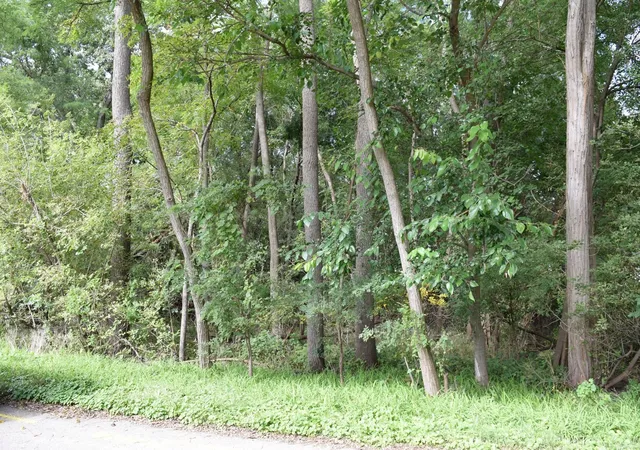 Photo 3 of Land for sale at Lots 68 & 69 Paul St, Mc Henry, IL 60051 | MLS# 12769680 | Listing updated on 2026-10-04
