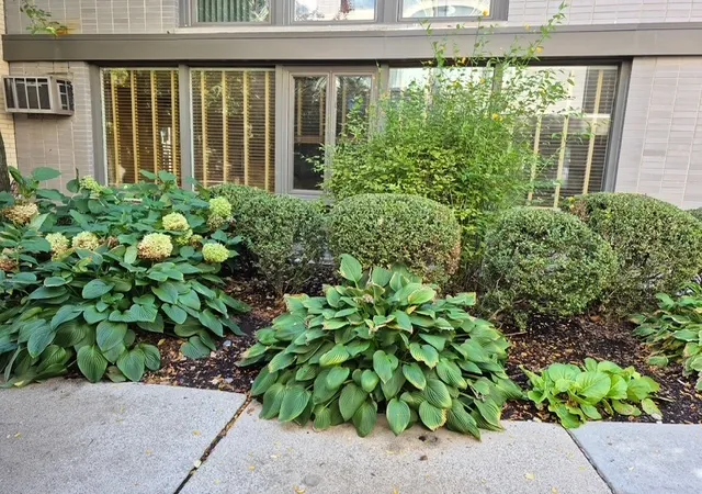 Photo 3 of Condo for sale at 1044 Ontario St #1A, Oak Park, IL 60302 | MLS# 12770163 | Listing updated on 2026-10-22
