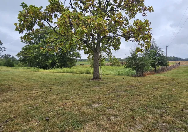 Photo 4 of Single family home for sale at 4165 Black Diamond Rd, Nashville, IL 62263 | MLS# 12770225 | Listing updated on 2026-10-02