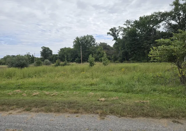 Photo 2 of Land for sale at 000 Bauman Ln, Harrisburg, IL 62946 | MLS# 12770442 | Listing updated on 2026-09-27