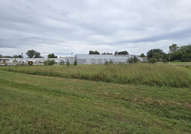 Photo 4 of Land for sale at 000 Bauman Ln, Harrisburg, IL 62946 | MLS# 12770442 | Listing updated on 2026-09-27