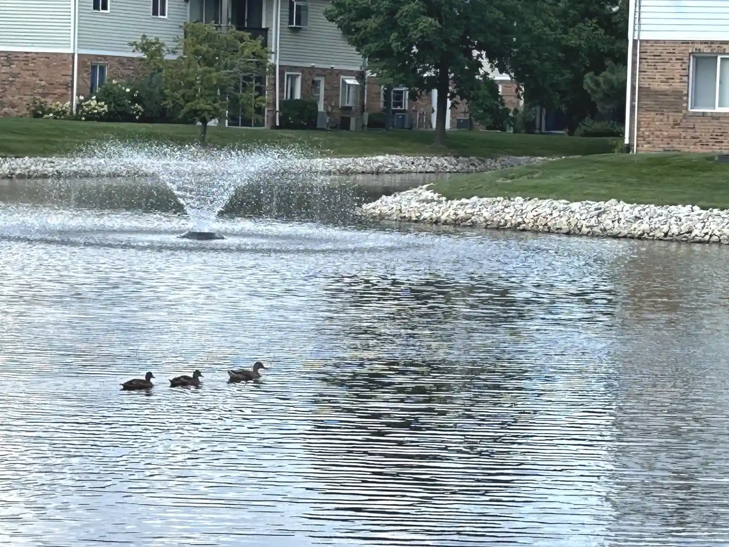 Listing Photo 49 - Condo for sale in 7236 Cottonwood Ct located at 7236 Cottonwood Ct, Willowbrook, IL 60527 - Unit 7236 Cottonwood Ct