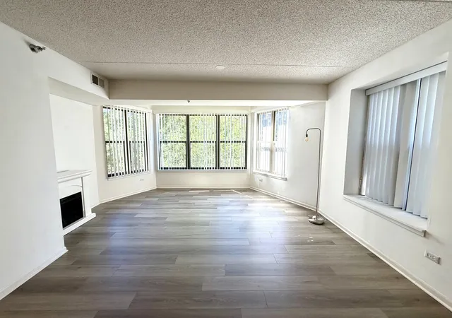 Photo 2 of Condo for sale at 1250 S Indiana Ave #308, Chicago, IL 60605 | MLS# 12771438 | Listing updated on 2026-09-28