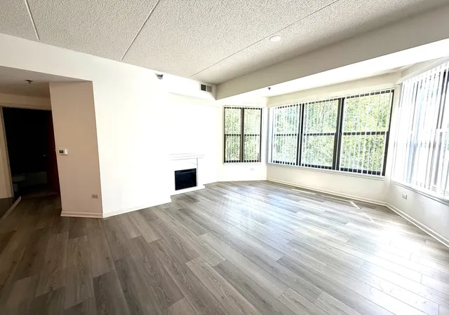 Photo 3 of Condo for sale at 1250 S Indiana Ave #308, Chicago, IL 60605 | MLS# 12771438 | Listing updated on 2026-09-28