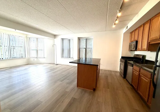 Photo 4 of Condo for sale at 1250 S Indiana Ave #308, Chicago, IL 60605 | MLS# 12771438 | Listing updated on 2026-09-28