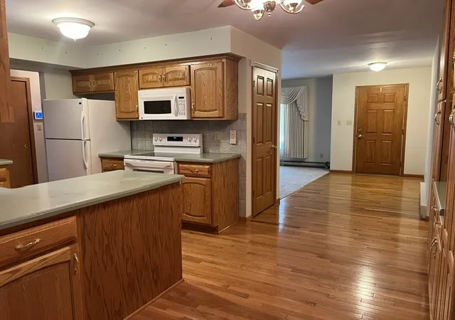 Photo 4 of Single family home for sale at 207 Illini Dr, Minooka, IL 60447 | MLS# 12772955 | Listing updated on 2026-10-07