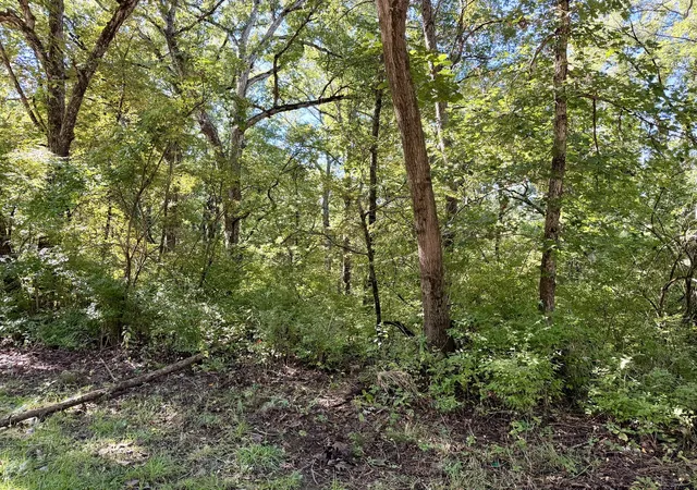 Photo 1 of Land for sale at 809 Missouri Dr, Dixon, IL 61021 | MLS# 12773070 | Listing updated on 2026-10-06