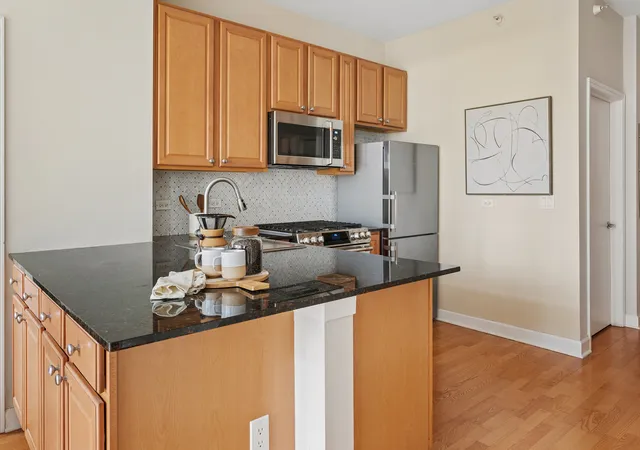 Photo 4 of Condo for sale at 233 E 13th Street #510, Chicago, IL 60605 | MLS# 12773172 | Listing updated on 2026-10-06