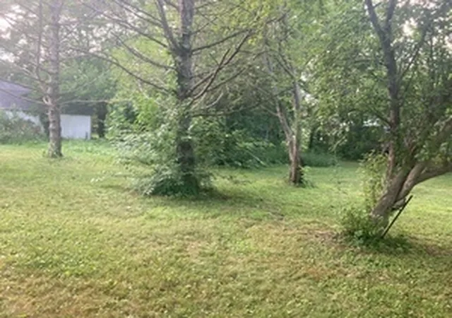 Photo 4 of Land for sale at 14930 S Will Cook Rd, Homer Glen, IL 60491 | MLS# 12773403 | Listing updated on 2026-10-06