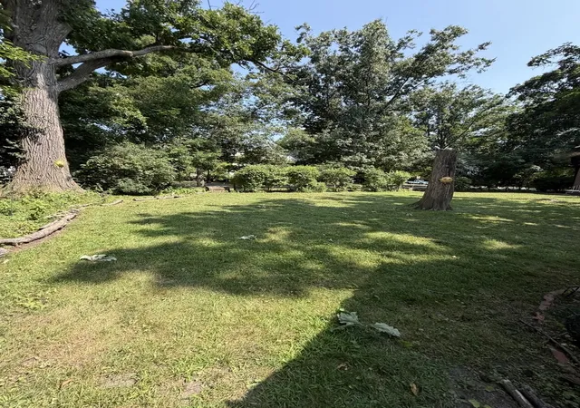Photo 3 of Land for sale at 2530 Mcdaniel Ave, Evanston, IL 60201 | MLS# 12774373 | Listing updated on 2026-10-08