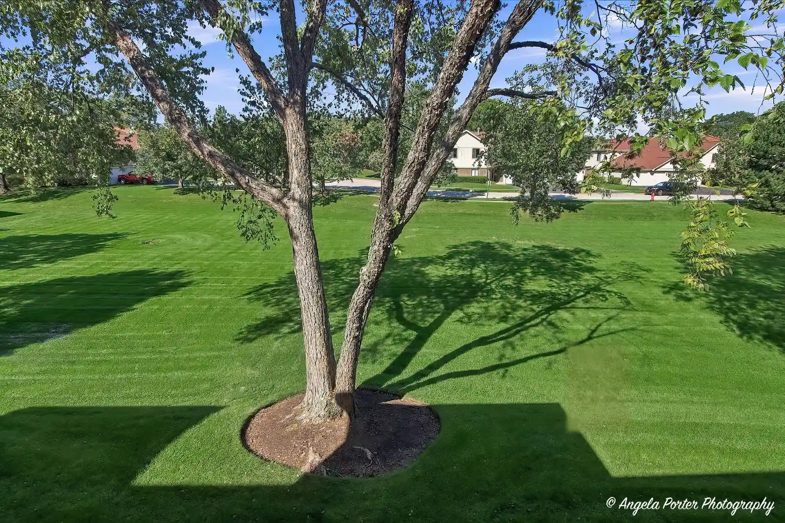 Listing Photo 27 - Condo for sale in 866 E Carriage Ln located at 866 E Carriage Ln, Palatine, IL 60074 - Unit 866 E Carriage Ln