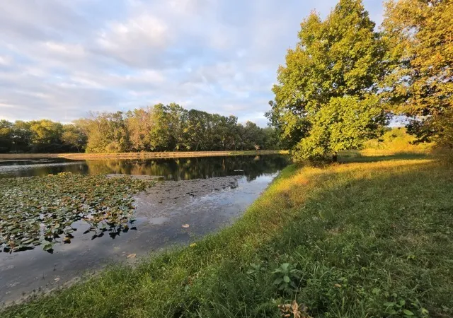 Photo 1 of Land for sale at 000 E Knox Rd, Mt Vernon, IL 62864 | MLS# 12775992 | Listing updated on 2026-10-03