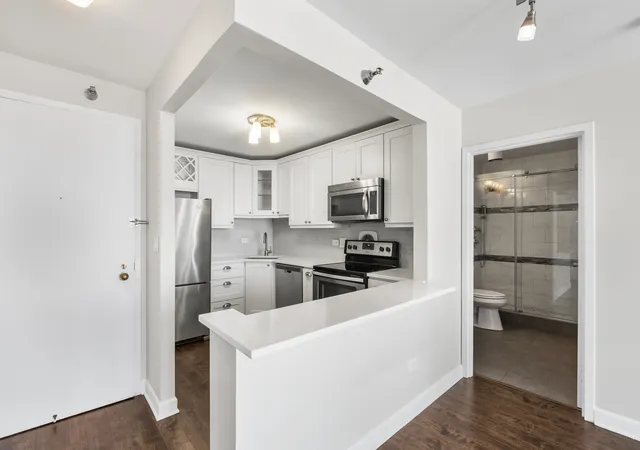 Photo 3 of Condo for sale at 111 W Maple St #1711, Chicago, IL 60610 | MLS# 12777113 | Listing updated on 2026-10-09