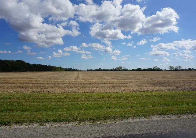Photo 3 of Land for sale at 2813 North 2200 E Rd, Martinton, IL 60951 | MLS# 12777342 | Listing updated on 2026-10-07
