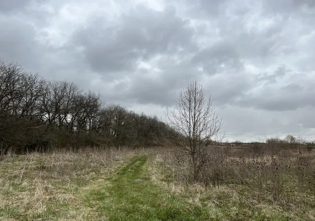 Photo 1 of Land for sale at 3501 W Pinewood Dr, Monee, IL 60449 | MLS# 12777490 | Listing updated on 2026-10-05