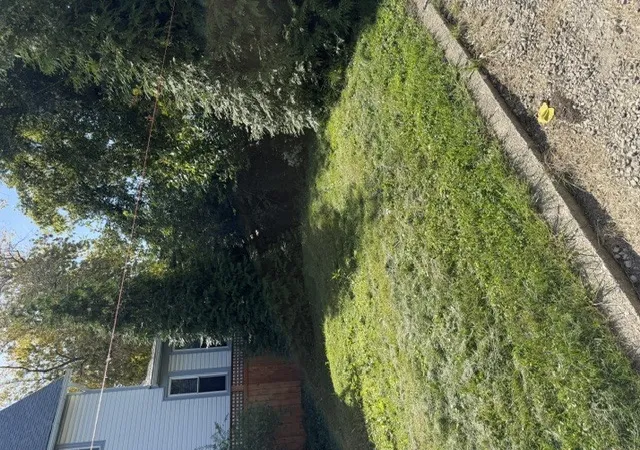 Photo 3 of Land for sale at 1127 N Waller Ave, Chicago, IL 60651 | MLS# 12779959 | Listing updated on 2026-10-08