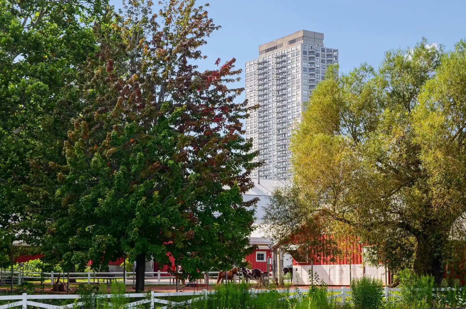 Listing Photo 1 - Condo for sale in 2020 N Lincoln Park W located at 2020 N Lincoln Park W, Chicago, IL 60614 - Unit #9J