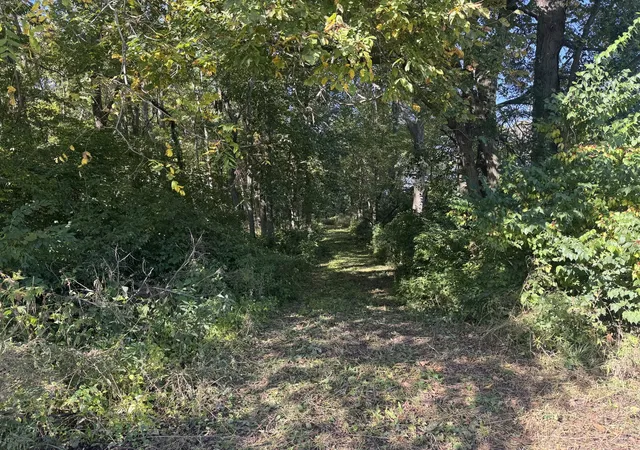 Photo 1 of Land for sale at 21 County Rd 500 E, Sadorus, IL 61872 | MLS# 12780701 | Listing updated on 2026-10-08